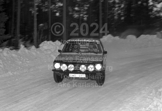 Rally 1982