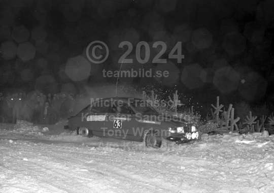 Rally 1982