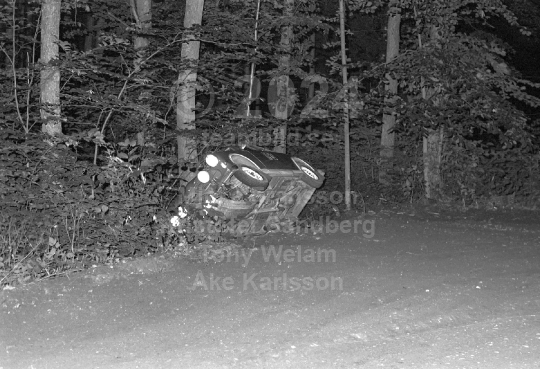 Rally 1982