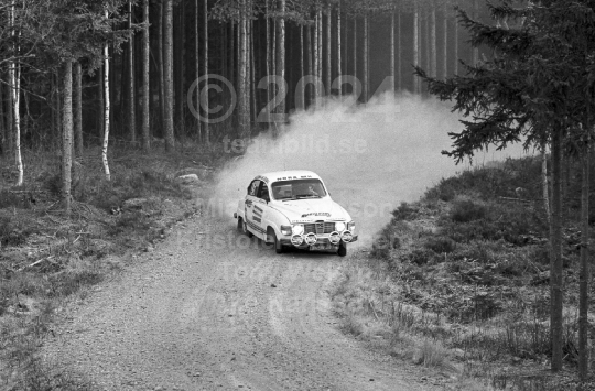 Rally 1984