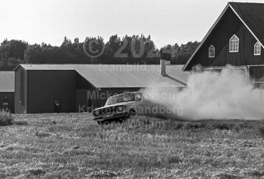 Rally 1984