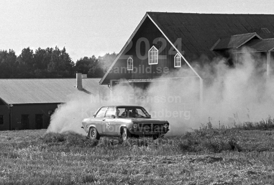 Rally 1984