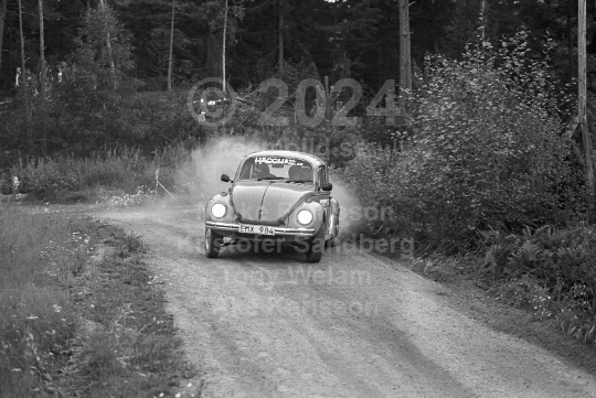 Rally 1984