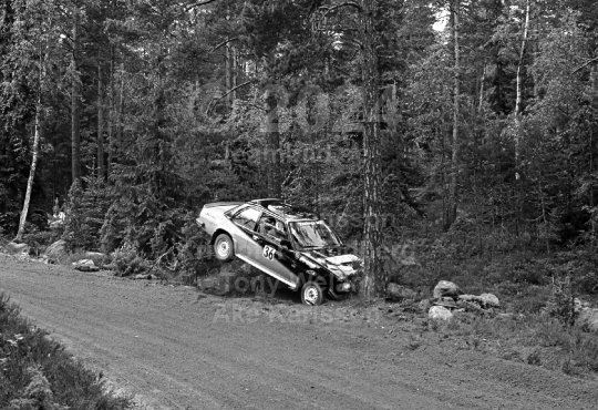 Rally 1984