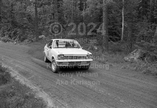 Rally 1984