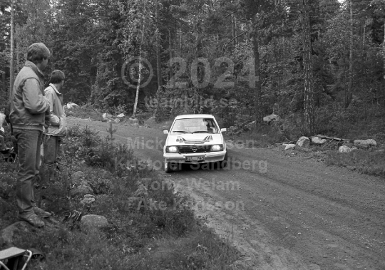 Rally 1984