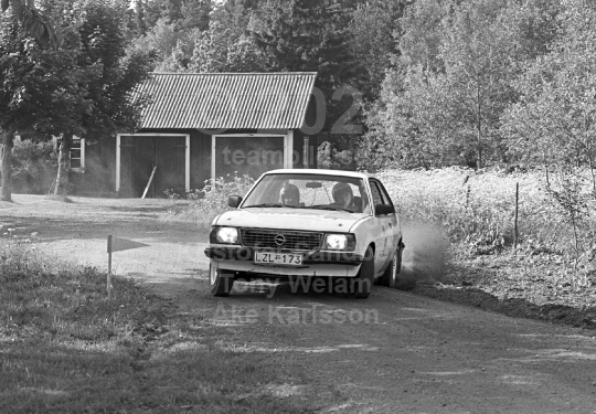 Rally 1984