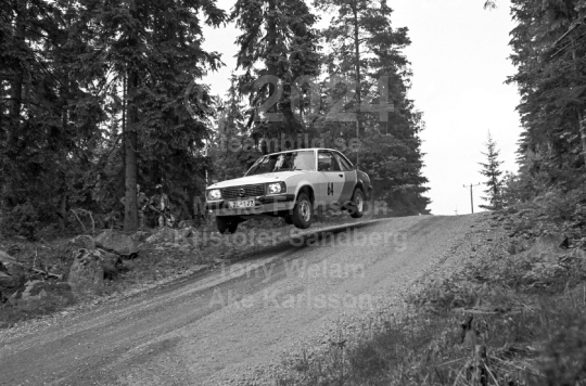 Rally 1984