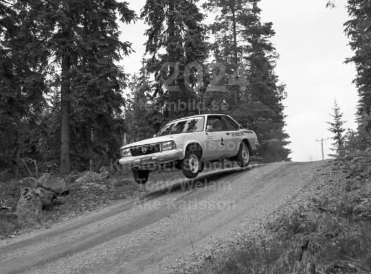 Rally 1984