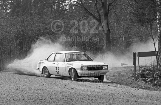 Rally 1984