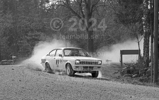 Rally 1984