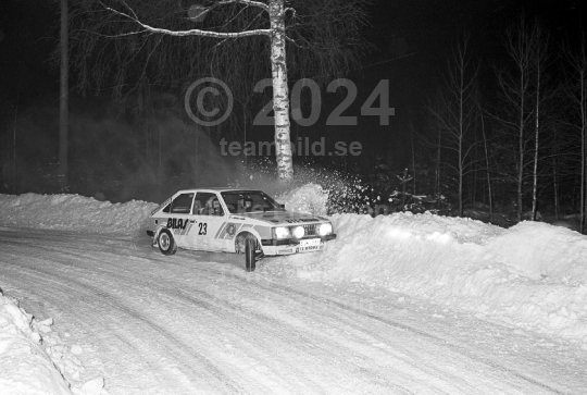 Rally 1984