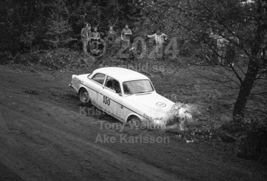 Rally 1985
