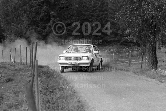 Rally 1985