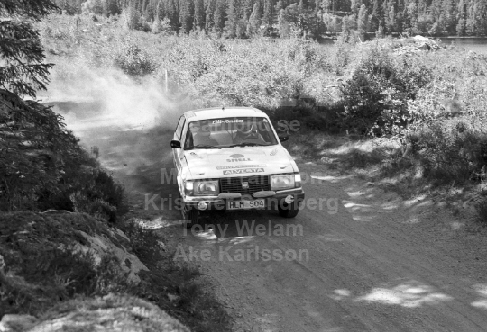 Rally 1985