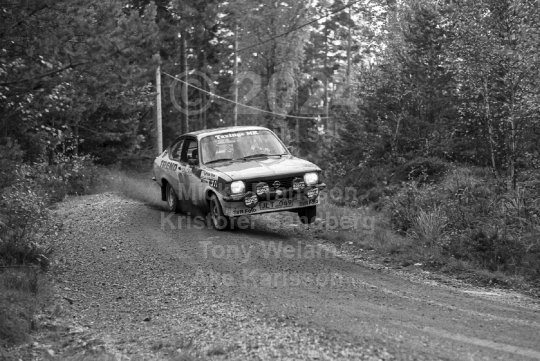 Salorarallyt 1984