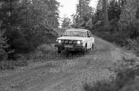 Salorarallyt 1984