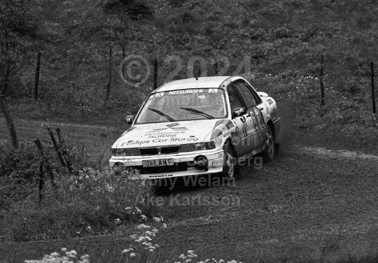 SAPA-Rallyt 1991