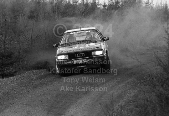 South Swedish Rally 1991