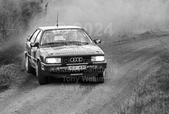 South Swedish Rally 1991
