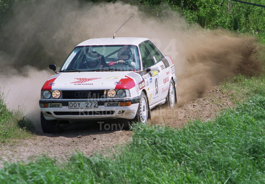 South Swedish Rally 1992