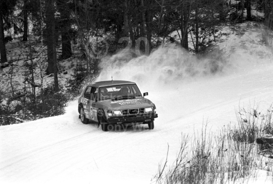 Svenska Rallyt 1981