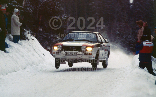 Svenska Rallyt 1981
