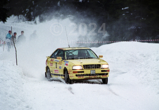 Bergslagsrallyt 1994