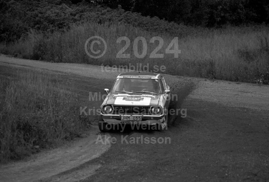 Rally 1980
