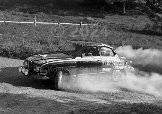 Rally 1980
