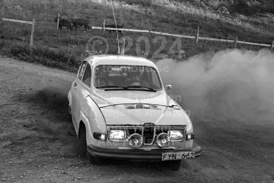 Rally 1980