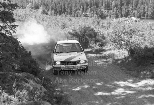 Rally 1985