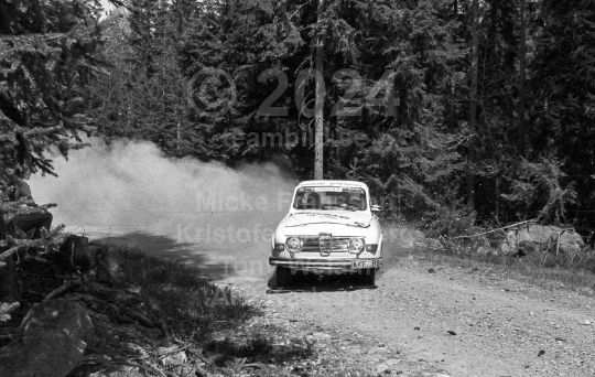 Rally 1985