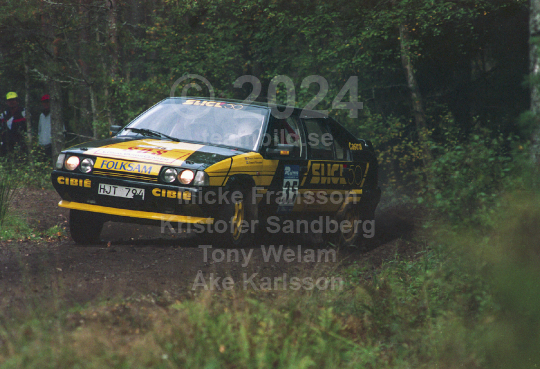 Rejmerallyt 1994