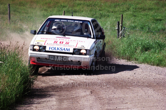 Snapphanerallyt 1993