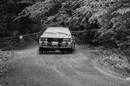South Swedish Rally 1987