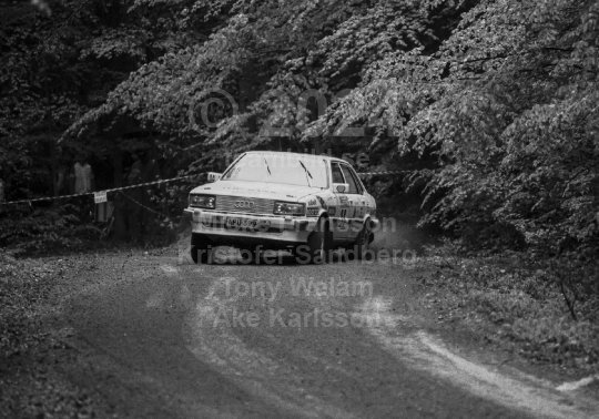 South Swedish Rally 1987