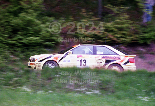 South Swedish Rally 1995