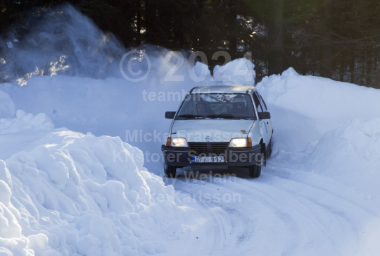 Dan Anderssons Minne 2011