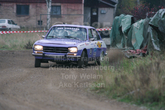 DANZAS ASG-Rallyt 2000