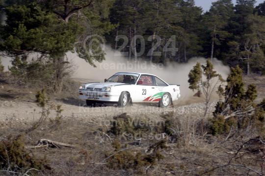 Rally Gotland 2005