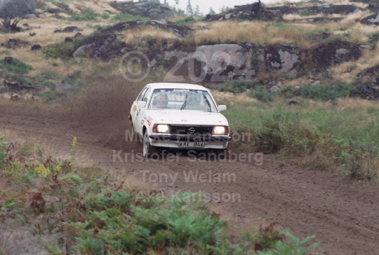 Rejmerallyt 1989