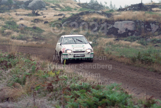 Rejmerallyt 1989