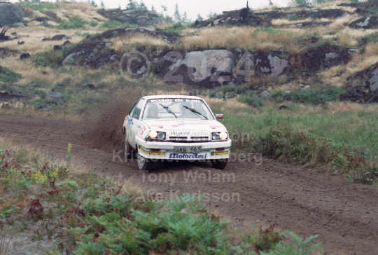 Rejmerallyt 1989