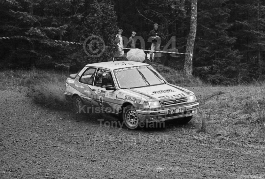 Rejmerallyt 1989