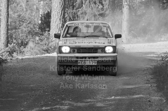 Rejmerallyt 1990