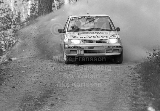 Rejmerallyt 1990