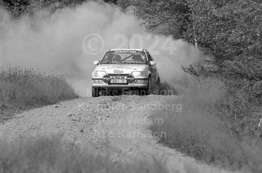 Rejmerallyt 1990