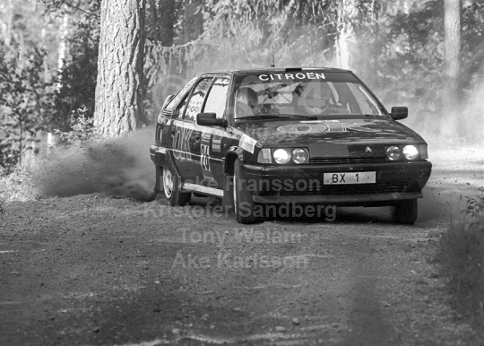 Rejmerallyt 1990
