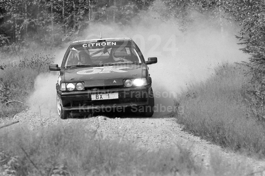 Rejmerallyt 1990